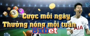 8xbet